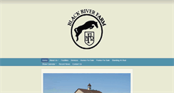 Desktop Screenshot of blackriverfarm.us